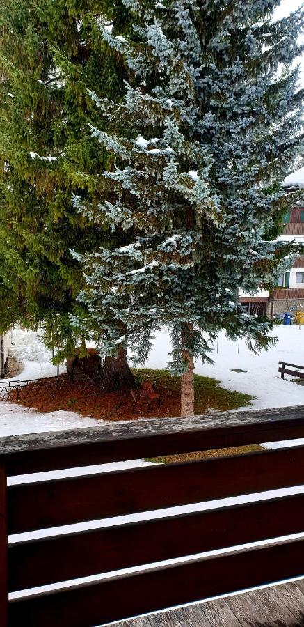 Luminoso Ed Accogliente, Centralissimo Appartamento Indipendente Cortina dʼAmpezzo Kültér fotó